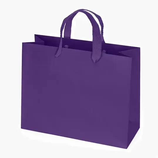 Paris Matte Eurotote with Foil Print — view 15