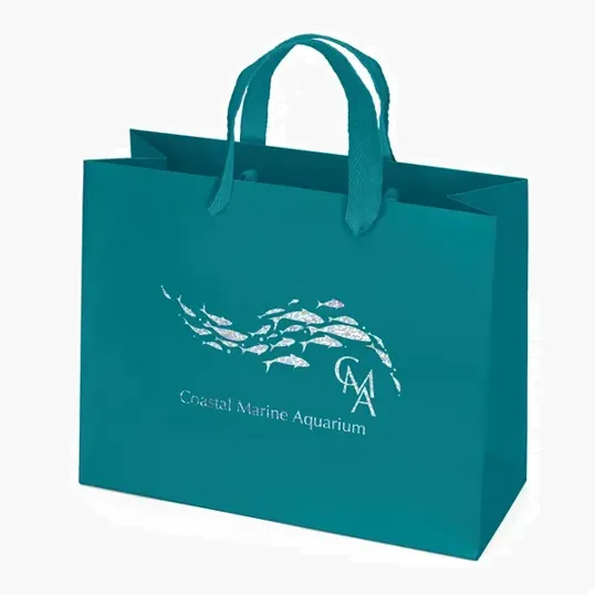 Paris Matte Eurotote with Foil Print — view 22