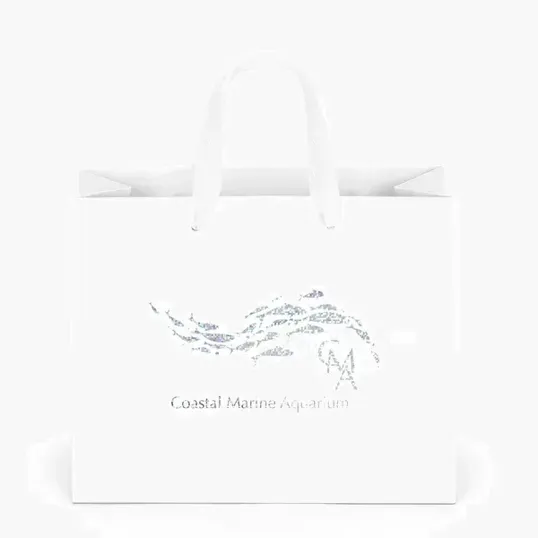 Paris Matte Eurotote with Foil Print — view 24