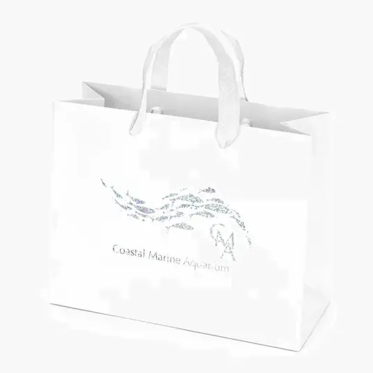 Paris Matte Eurotote with Foil Print — view 26