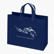 Paris Matte Eurotote with Foil Print — view 4