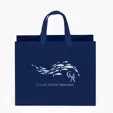 Paris Matte Eurotote with Foil Print