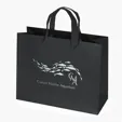 Paris Matte Eurotote with Foil Print — view 2