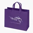 Paris Matte Eurotote with Foil Print — view 14