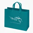 Paris Matte Eurotote with Foil Print — view 22