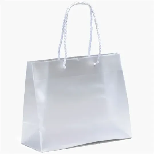Pisces Frosted Eurotote with Foil Print — view 2