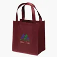 Little Thunder® Non-Woven Tote with Reinforced Handles — view 3