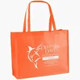 George Celebration Tote, Non-Woven Polypropylene — view 19
