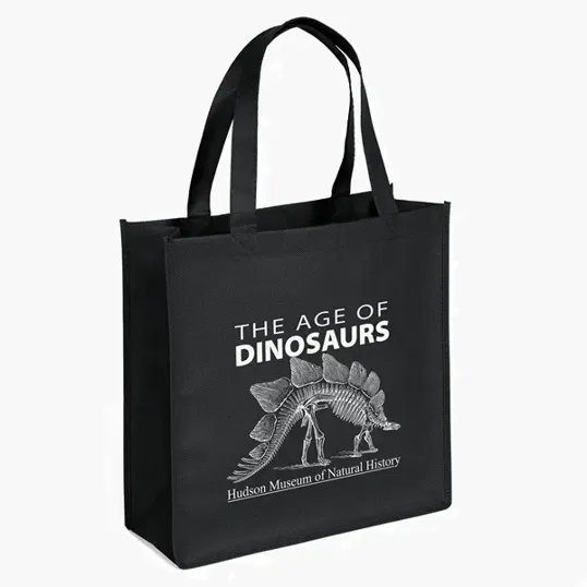 Abe Celebration Tote, Non-Woven Polypropylene — view 17