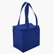 Therm-O Cooler Tote™ — view 5
